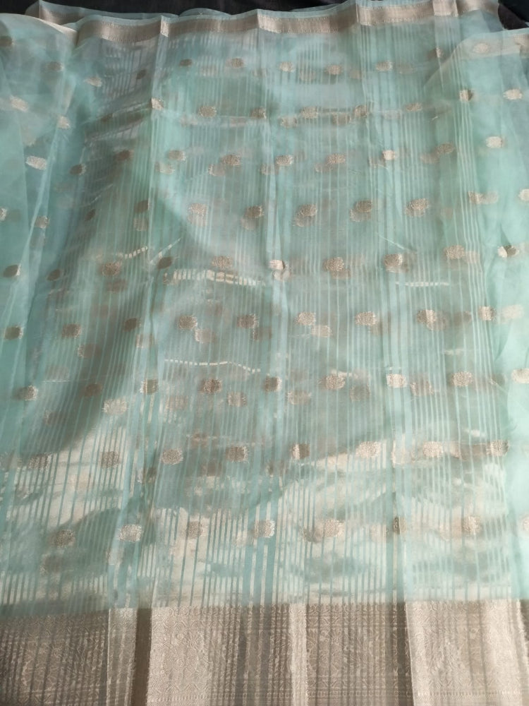 Sea Green Organza saree with full buttas
