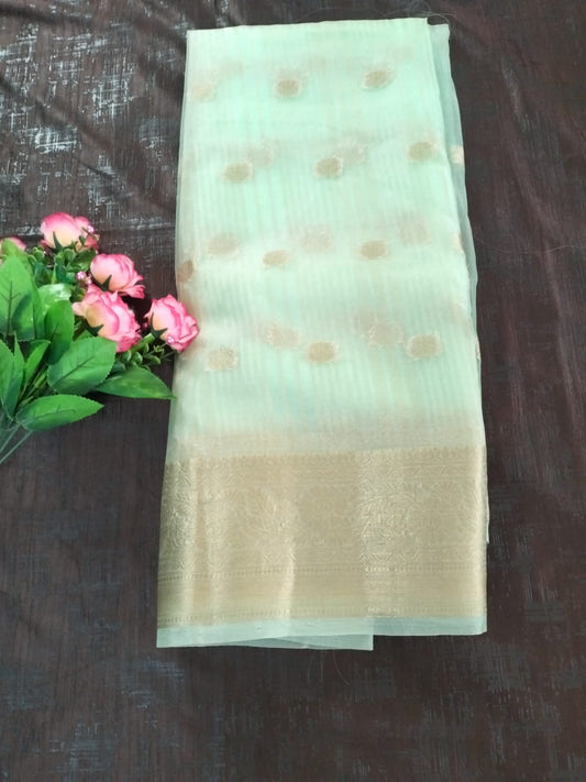 Sea Green Organza saree with full buttas