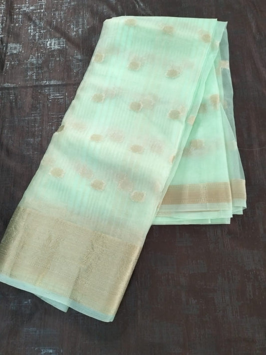 Sea Green Organza saree with full buttas